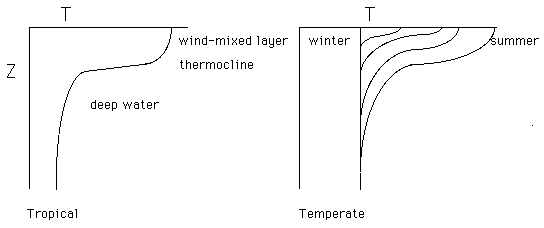 Seasonal Thermocline